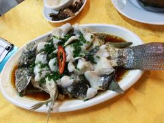 -鸽王世家(东华东路店)