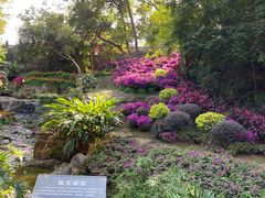 -广州市白云山风景名胜区