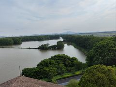 -大湾区中央湿地公园