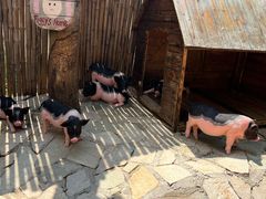 -HERRE·FARM 赫尔露营农场·团建聚会包场