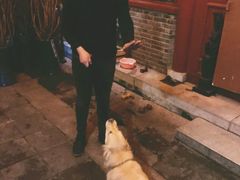 大堂-百好乐宠物友好餐厅(朝外大街店)