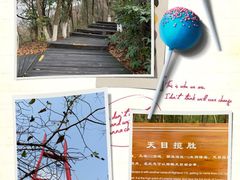 -天目湖山水园