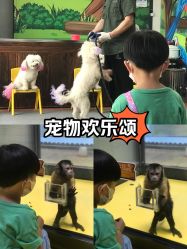-未来动物城动物主题公园(大悦城店)