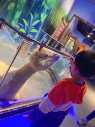-未来动物城动物主题公园(大悦城店)