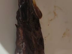 -杨氏青龙虾·羊蝎子(托乐嘉店)