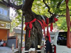 -天宁寺