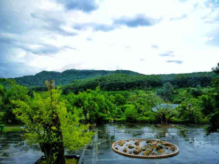 罗帅热带雨林休闲山庄-"交通:在白沙通往琼中的路上,交通不仅方.