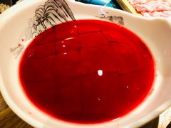 -青瓷火锅料理(西单大悦城店)