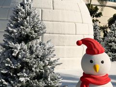 -汕头中海黄金海岸水上乐园