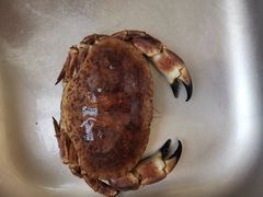 -盒马鲜生(新都心店)
