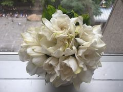 -醉爱小馆·创意南京菜(瑞阳街店)