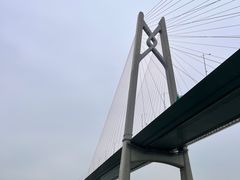 -招商蛇口邮轮母港(观光客运)