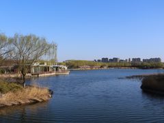 -大兴滨河森林公园