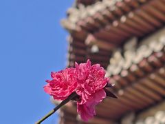 -玲珑塔公园