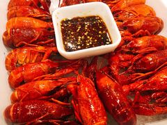 -不炭白烧烤(成都首店)