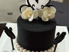 -BLACKSWAN黑天鹅(环球店)