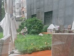 -北京德胜门华宇假日酒店·画廊咖啡厅