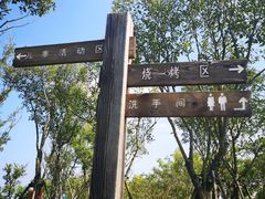 -春花秋色城市公园