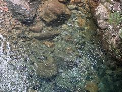-祁门牯牛降观音堂风景区