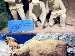 -中国第四纪冰川遗迹陈列馆