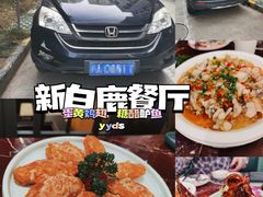-新白鹿餐厅(爱琴海购物中心店)