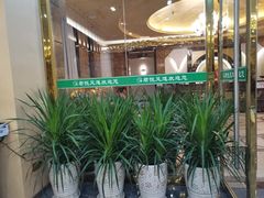 -君之悦·影院式足道·养生SPA(回兴店)