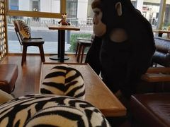 -ZOO COFFEE 动物园咖啡(亦庄店)