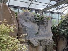 -南宫五洲植物乐园