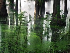 -东湖落雁景区