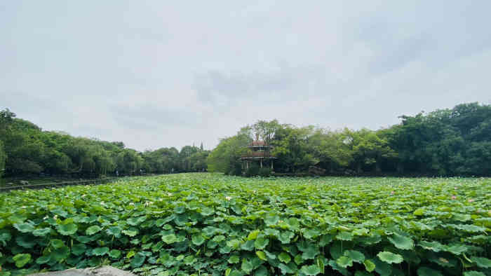 簇锦公园-"卓桥,有一个老公园儿桥,存在好多年的公园.