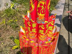 -广州莲花山旅游区