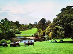 -墨尔本皇家植物园