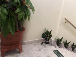 -海涛医疗美容·面部抗衰·注射美鼻