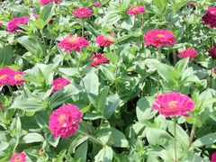 -下渚湖国家湿地公园科普馆