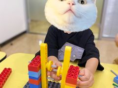 -想家粒科学探索中心(青林湾店)