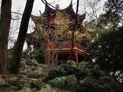 -汇龙潭