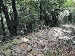 -午潮山国家森林公园
