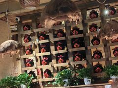 -泥糊破店小酒馆·团建聚餐(南京西路店)