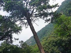 -北京上方山国家森林公园