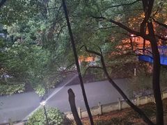 -布丁严选酒店(杭州武林西湖文化广场地铁站店)