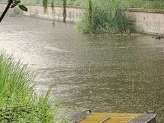 -元大都城垣遗址公园