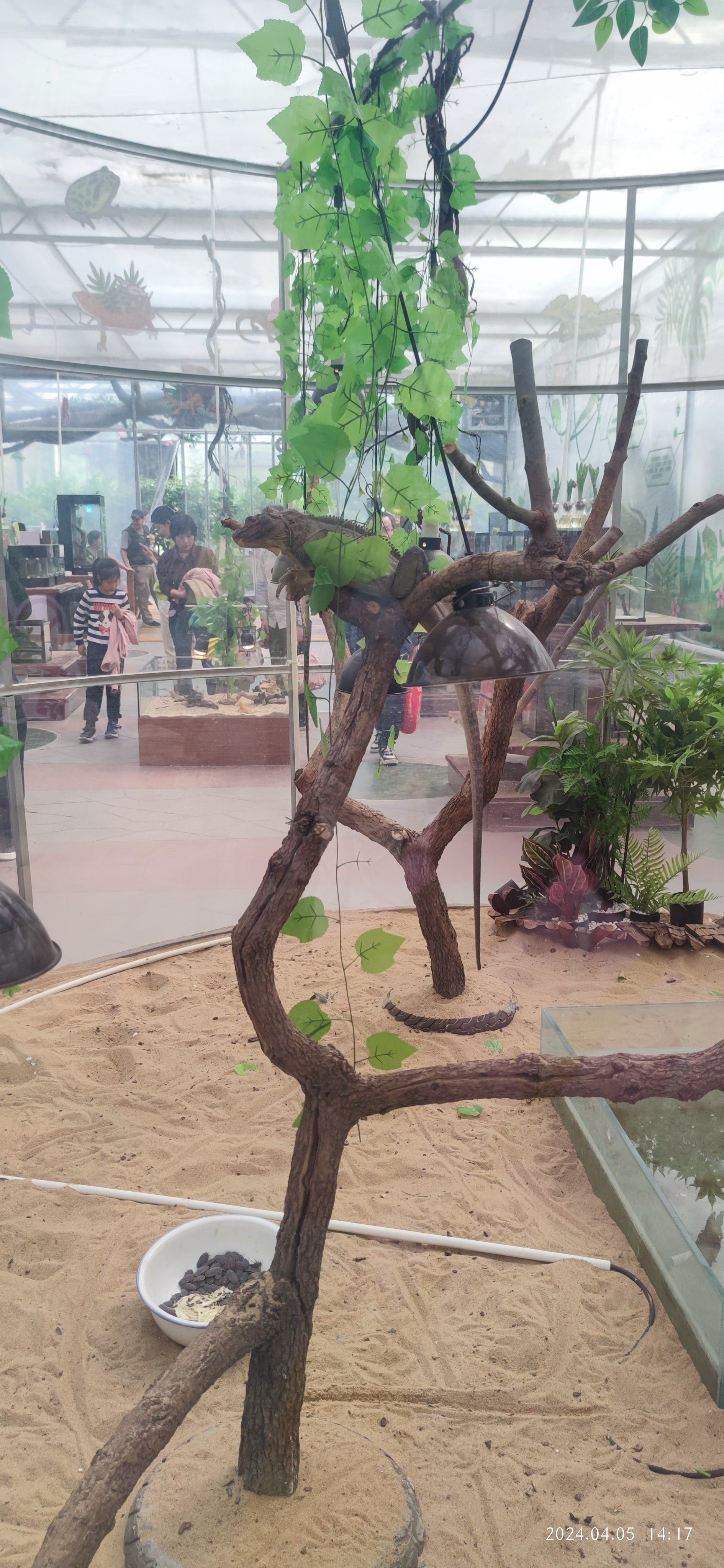 南宫五洲植物乐园
