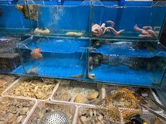 -潮庭·大连海鲜·炭火烧烤·扇贝王(大连店)