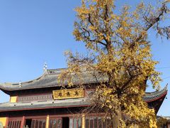 -上海青龙寺