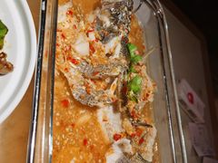 -佬肥猫(国华广场店)