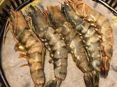 -熊出没日本烧肉放题