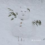 不滑雪也要带滑雪手套，暖宝宝