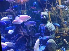 -华夏文旅海洋公园