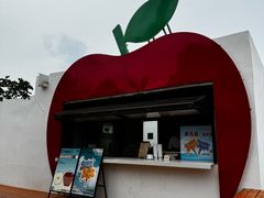 -海岛日记(养马岛店)