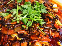 -陈麻婆豆腐(旗舰店)
